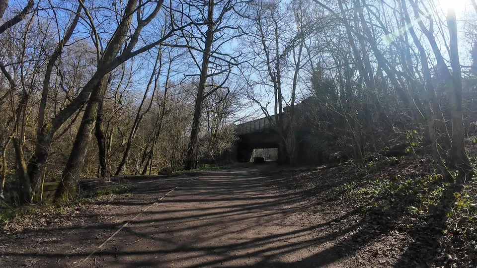 Image 7